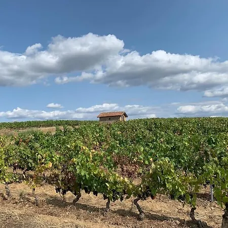 Les Sarments Du Beaujolais, Campagne Proche Lyon Holiday home